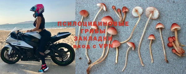 хмурый Богданович