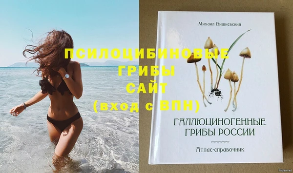 хмурый Богданович