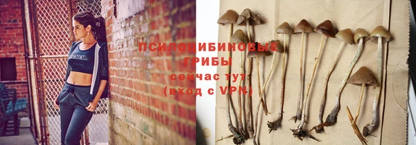 винт Богородск